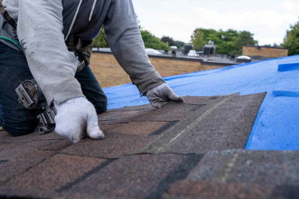 Best Flat Roof Repair Services  in Dry Ridge, OH