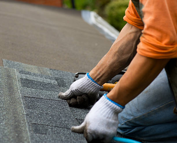 Best Roof Leak Repair  in Dry Ridge, OH